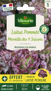 Laitue Pommée Merveille des 4 Saisons + échantillon Picholine